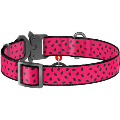 Нашийник для тварин WAUDOG Nylon "Кавун" металічна пряжка-фастекс М (5146) Вінниця - фото 2