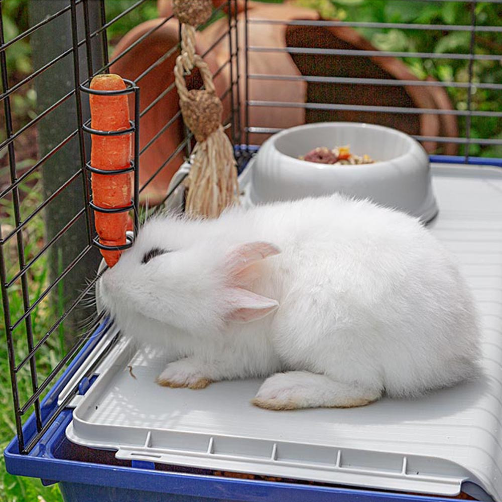 Большая клетка для кроликов и морских свинок Ferplast Rabbit 120 (Ферпласт Реббит 120) Запорожье - изображение 7