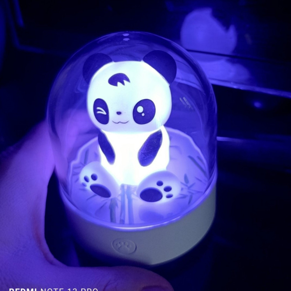 Светильник ночник Фонарь на зарядке 10 см на 8 см Одеса - фото 7