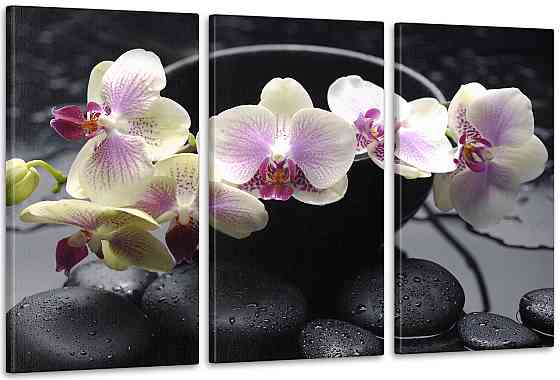 Модульна картина Коліри Орхідея Art-335_3А 70x130 см Київ