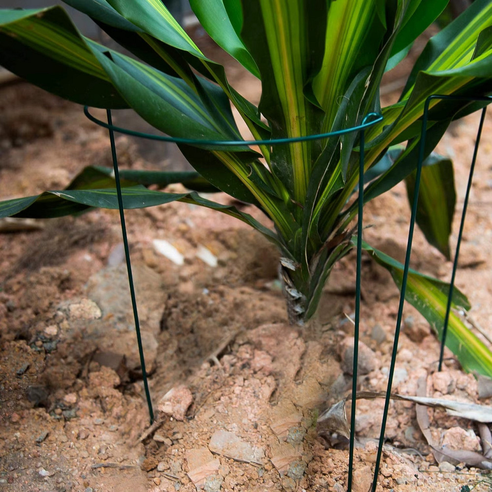 Набір садових огорож-підпірок 3 шт для підтримки рослин, квітів, саджанців, розсади розмір 25х40 см Кам'янець-Подільський - фото 5