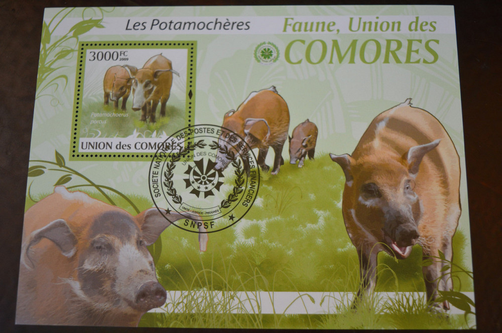 Марки. Фауна. Блок. 2009 год (Б-8) Полтава - изображение 1