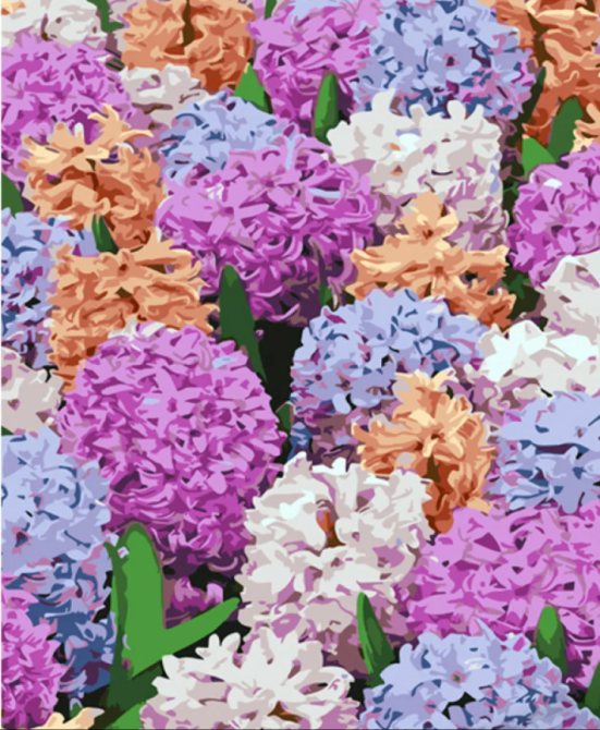 Картина за номерами Strateg Різнокольорові гіацинти 40х50см (GS1062) Чернигов - изображение 1