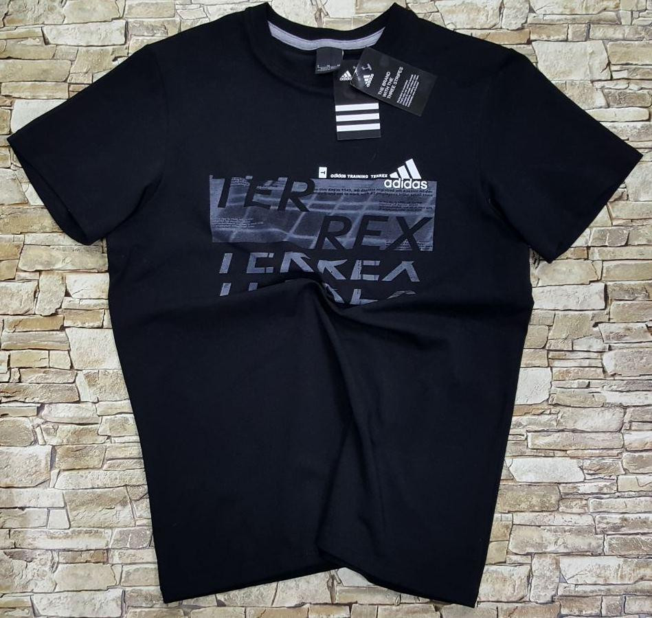 Мужская футболка Аdidas Terrex Logo Bar,оригинал .p.S(44-46) Киев - изображение 2