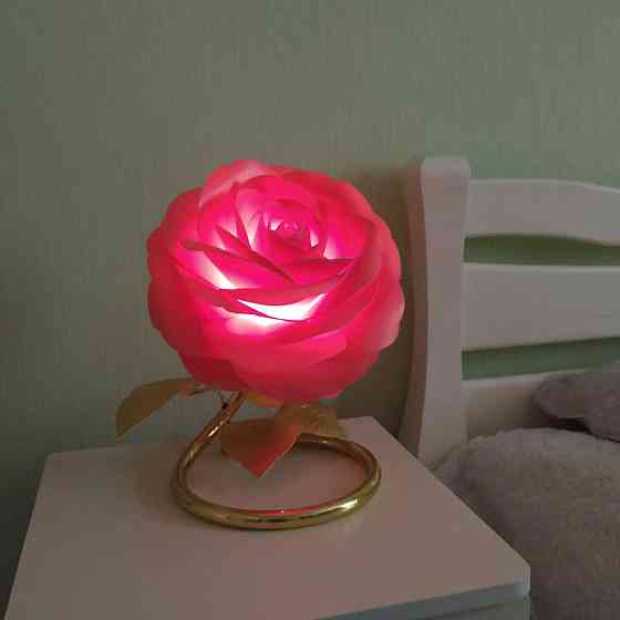 Світильник-нічник "Ала камелія" Дніпро