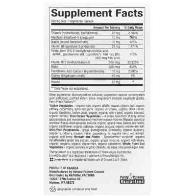 Витаминно-минеральный комплекс Natural Factors Активный комплекс витаминов B, BioCoenzymated, Active B Complex, 60 вег (NFS-01132) Винница