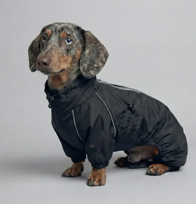 Дощовик для такси комбінезон Dogs Bomba водовідштовхувальний осінь на блискавці з утяжками чорний 4 Одеса - фото 1