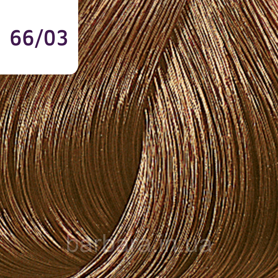 Краска для волос Wella Color Touch Plus Колортач Плюс  NEW 2025 66/03 бренди Киев - изображение 2