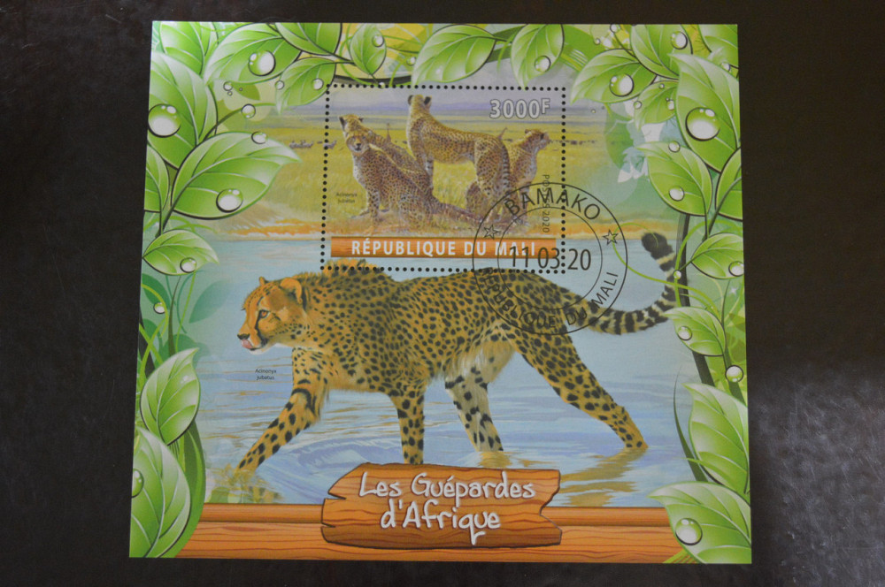 Мали. Марки. Фауна. Блок. 2020 год (В-4) Полтава - изображение 1