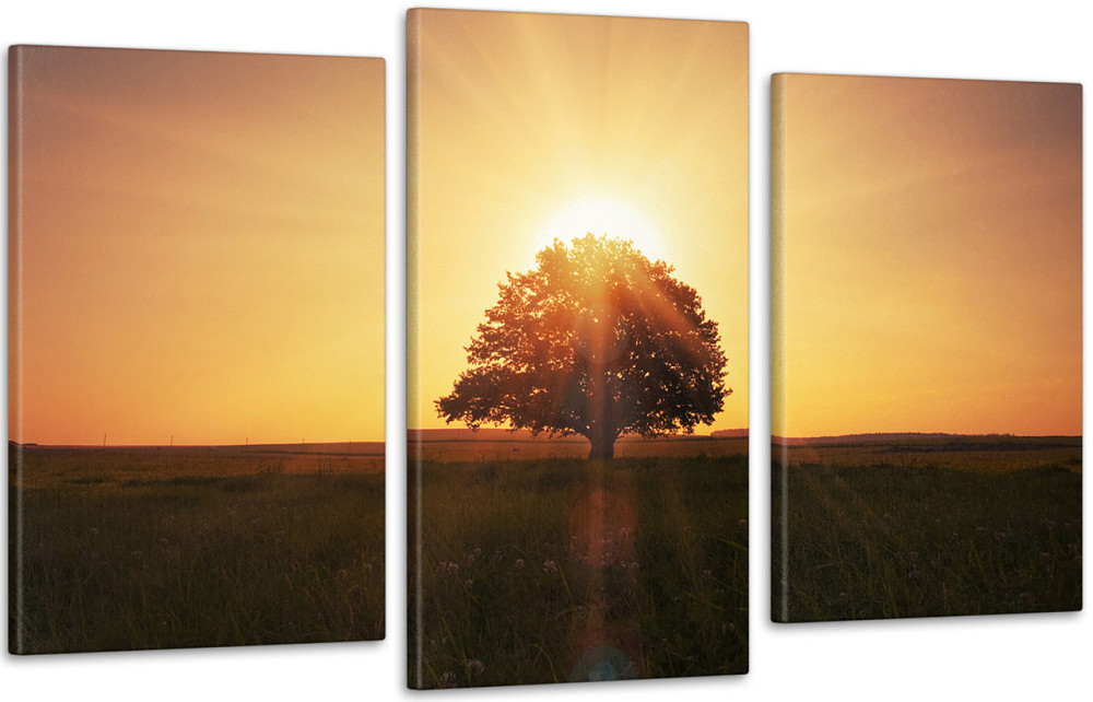 Модульна картина Природа Дерево Art-39_3 Київ - фото 1