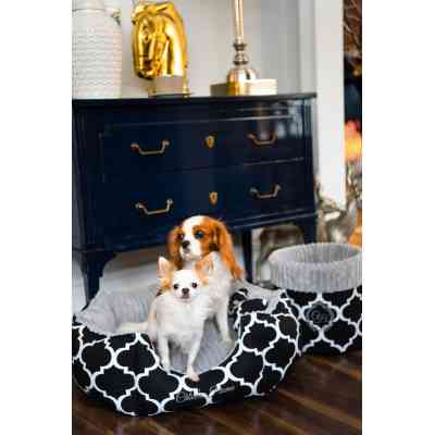 Лежак для тварин Chloe&apos;s Home Rome М чорний (CLH0182) Вінниця