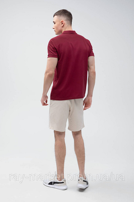 Костюм поло бордове та шорти бежеві RAY BASIC U9007-Bordeauux-Cream Київ - фото 3