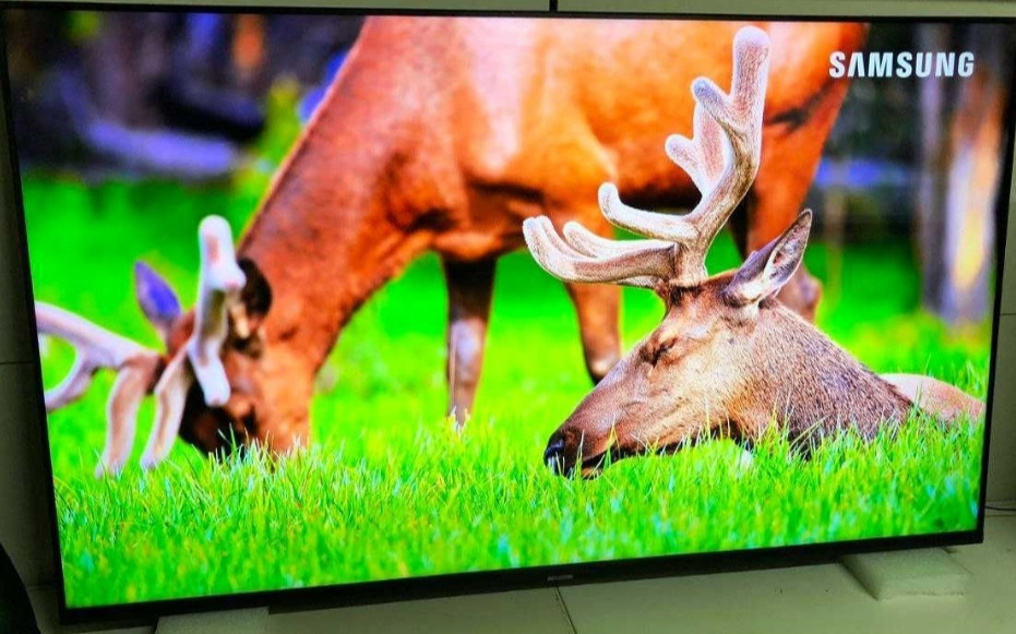 Телевизор: 55