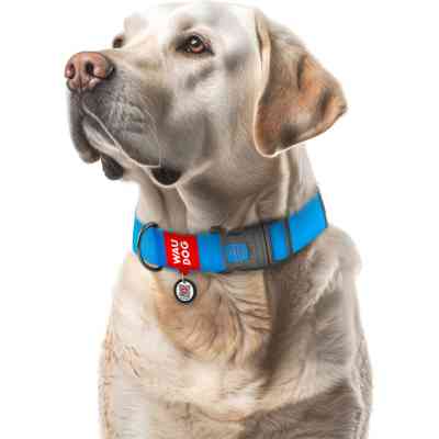 Ошейник для животных WAUDOG Waterproof с QR паспортом пластиковый фастекс XXL голубой (25112) Винница