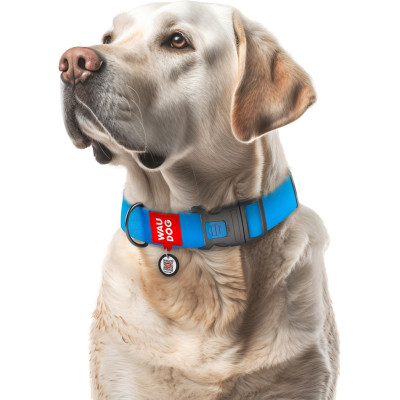 Ошейник для животных WAUDOG Waterproof с QR паспортом пластиковый фастекс XXL голубой (25112) Винница - изображение 4