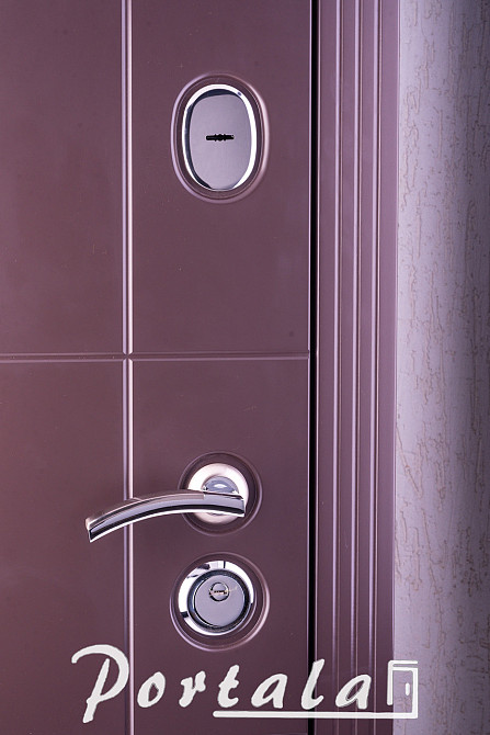 Двері вуличні, МДФ-фарбування по RAL,серія ТРІО, модель Неаполь-2 Київ - фото 2