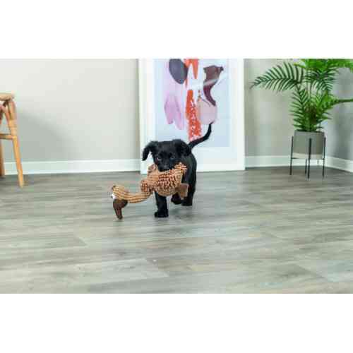 Іграшка Trixie для собак Гриф Густав тканина і плюш 28 см Київ