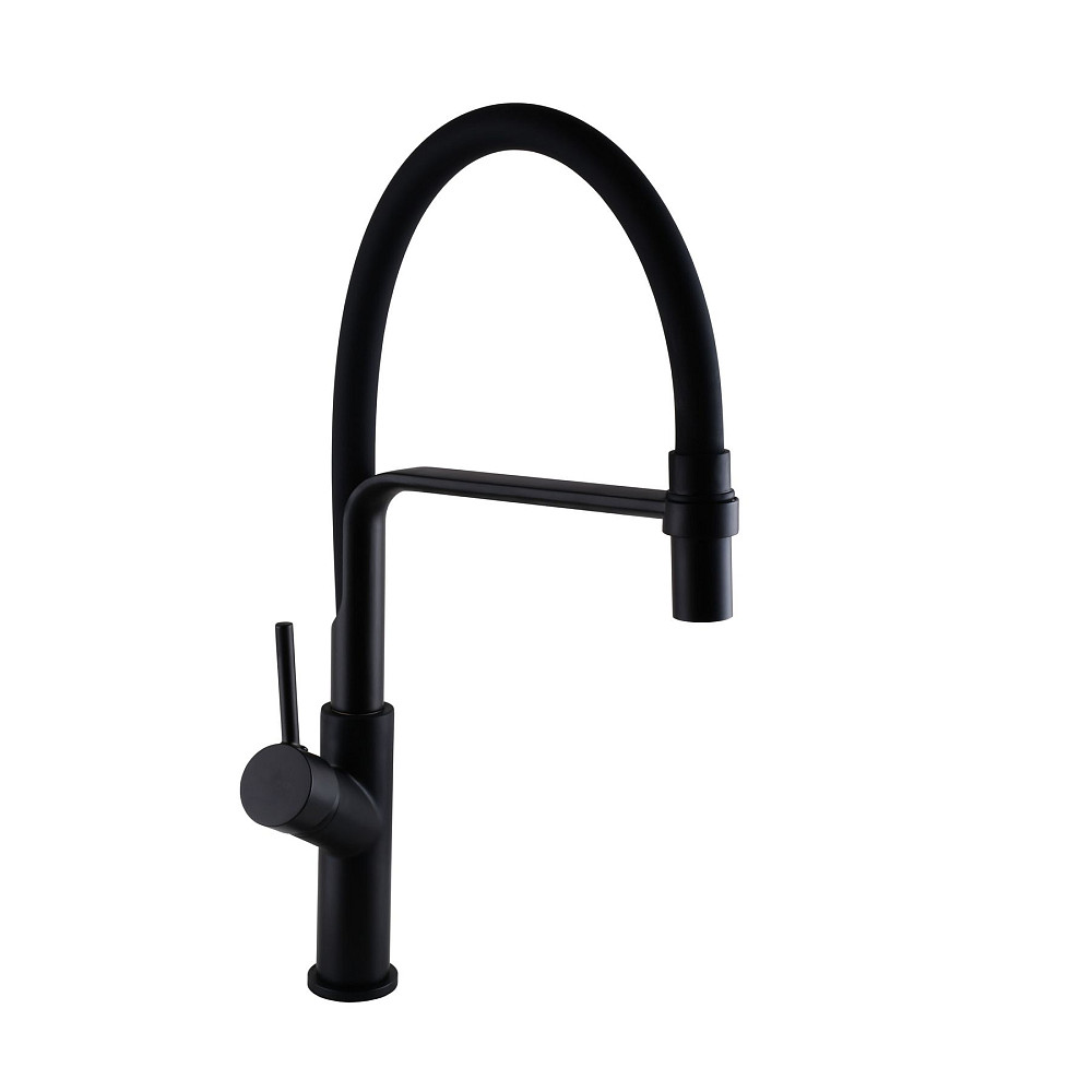 Змішувач для кухні Globus Lux DENVER Flex GDF-32-10-01 Тернополь - изображение 1