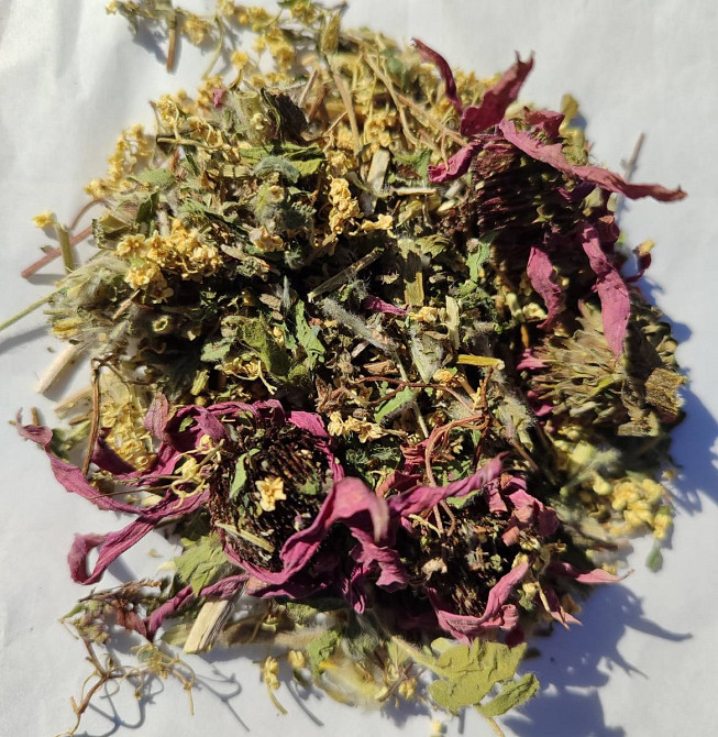 Карпатский травяной чай «Противовирусный», 100г. MasterSEM Киев - изображение 1