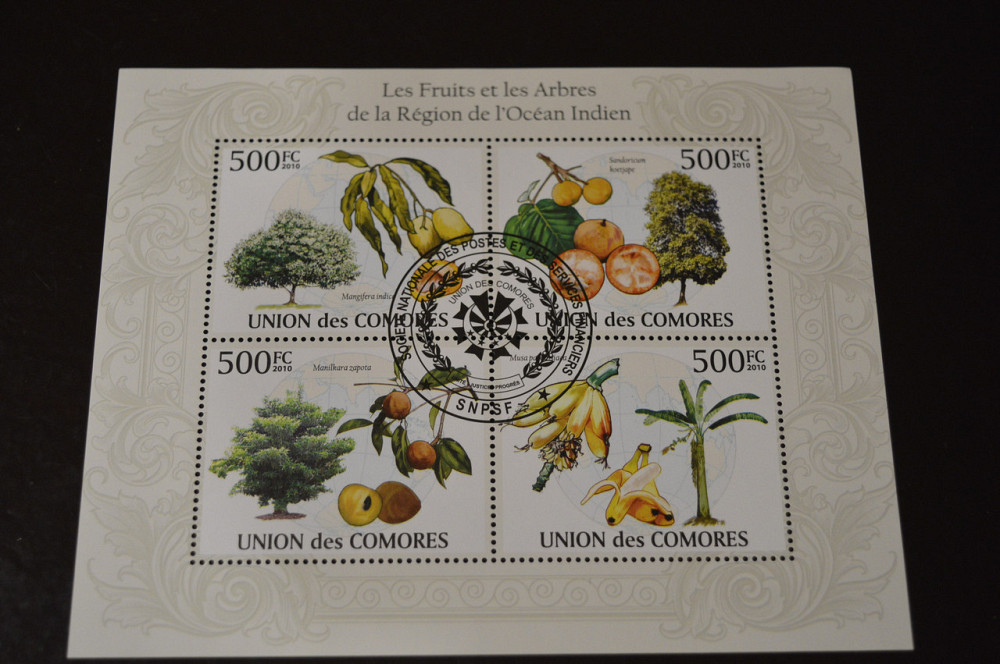 Коморы. Малый лист 4 марки 2010. Флора Полтава - изображение 1