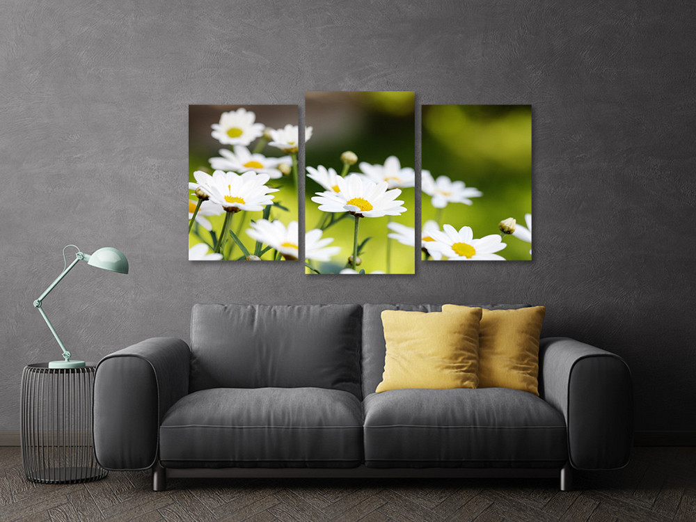 Модульная картина в гостиную / спальню  Ромашки Art-537_3 70x130 см Киев - изображение 3