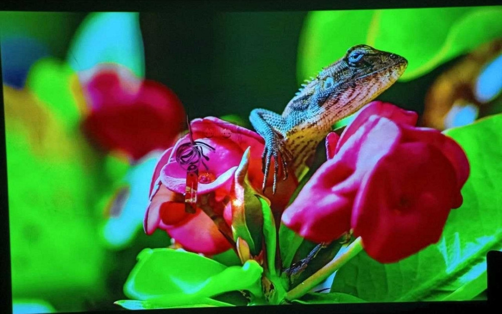 DLP Проектор Byintek U80Max аккумулятор 15000мАг, официальный, гарантия Харьков - изображение 7