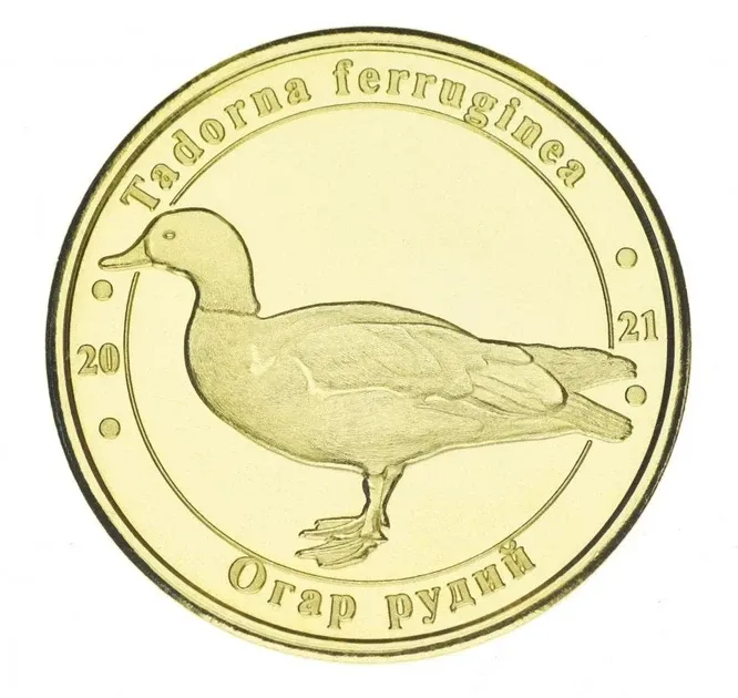 Україна 1 лихонік 2021 UNC Червона книга України - Птаха - Огар (червона качка) Полтава - фото 1