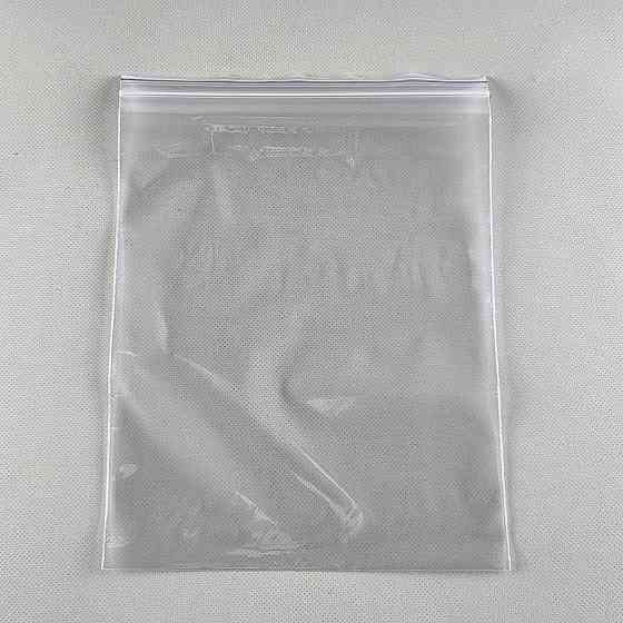 Пакеты с застежкой Zip-Lock для хранения продуктов и мелких вещей 20х25 (100шт) (1 пачка) Харьков