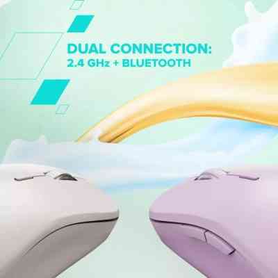 Мышка Canyon MW-12 Wireless/Bluetooth Beige (CNS-CMSW12BG) Винница