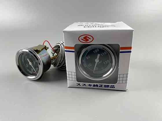 Покажчик температури механічний L = 3,0 м з підсвіткою довгий посадковий D = 52 мм++ перехідник 2 шт. Мукачево