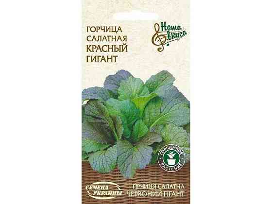 Горчица салатная КРАСНЫЙ ГИГАНТ НВ 0,5г (20 пачек) (рс) ТМ СЕНА УКРАИНЫ Solmir Киев