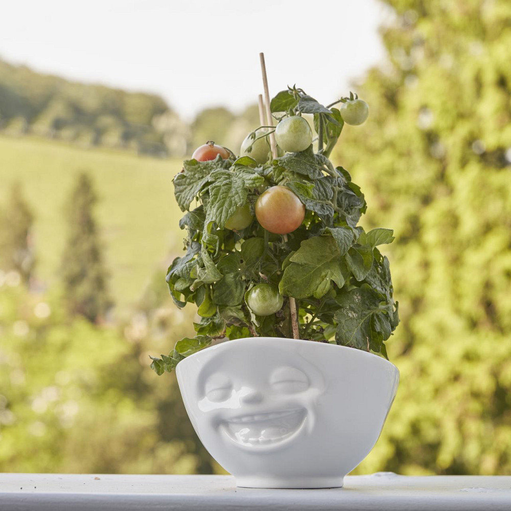 Салатниця Tassen "Сміх", 500 мл Рівне - фото 2