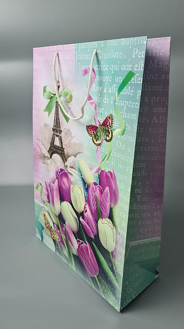 Пакет паперовий гігант вертикальний (30х42х12) (артGV-045) (12 шт) Харків - фото 1