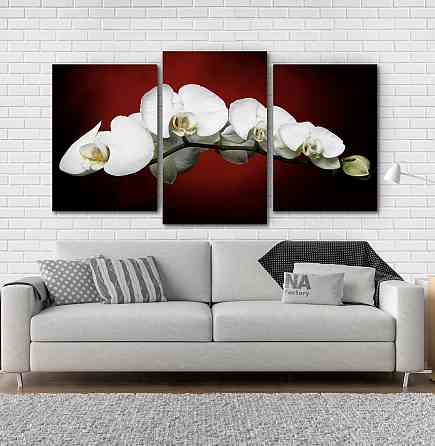Модульна картина Квіти Орхідея Art-135_3 Київ