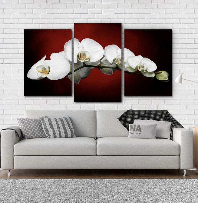 Модульна картина Квіти Орхідея Art-135_3 Київ - фото 2