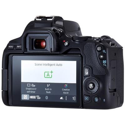 Цифровой фотоаппарат Canon EOS 250D 18-55 DC III Black kit (3454C009) Винница - изображение 7