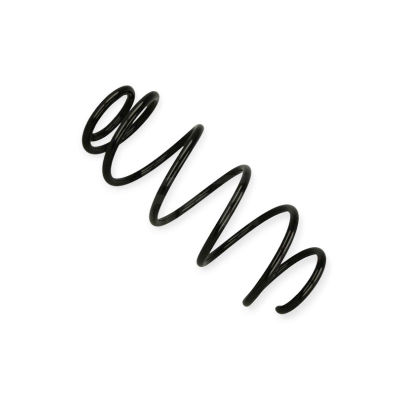 Пружина Citroen Berlingo 1.6D, C4 Picasso 1.6-2.0i 08- передняя Мукачево - изображение 1