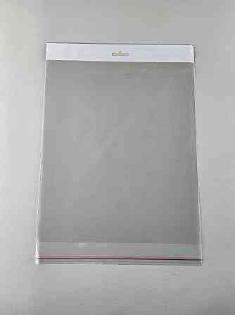 Пакет з еврослотом і липкою стрічкою 25см 30см 25мк (1000шт) Харків