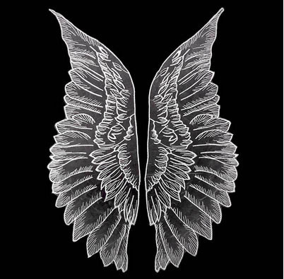 Аплікація на одяг з тканини Крила Ангела Київ - фото 2