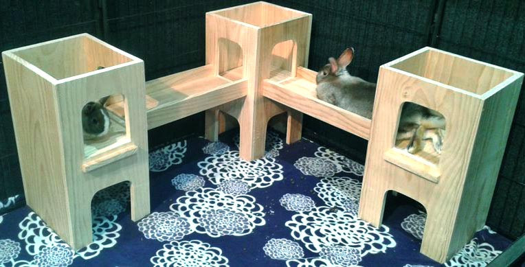 Будиночок для кроликів "Відобра" бланже Миколаїв - фото 1