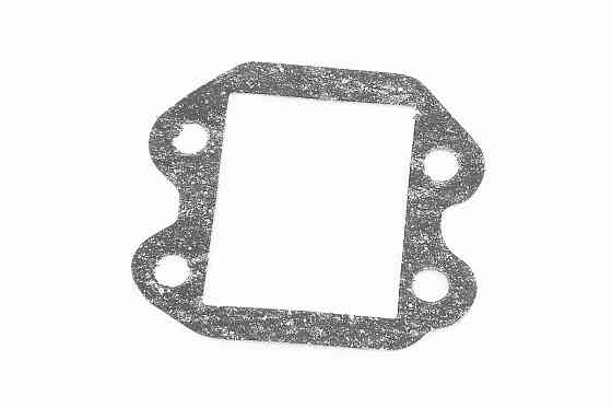 Прокладка клапану пелюсткового Yamaha MINT Київ