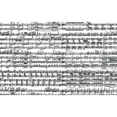 Пазл Piatnik Музичні ноти, 1000 елементів (PT-543449) Вінниця