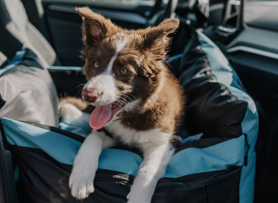 Автокрісло для собак Happy Peppy (Хеппі Пеппі) DogWay Запоріжжя