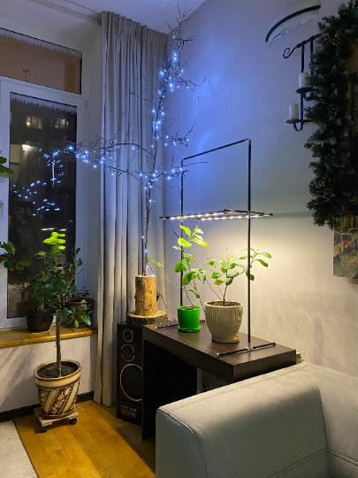 Система підсвічування для рослин Metaflex TwiLight Бориспіль - фото 1