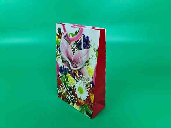 Бумажный пакет подарочный Средний 17/26/8(артSV-235) (12 шт) Харьков