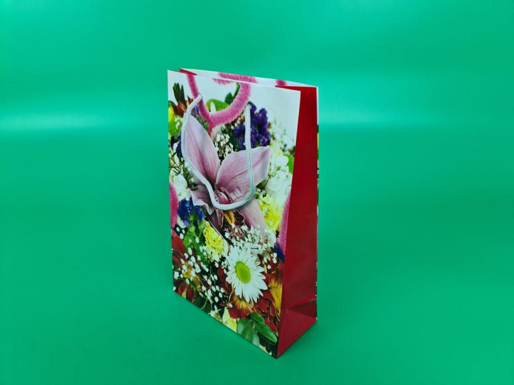 Бумажный пакет подарочный Средний 17/26/8(артSV-235) (12 шт) Харьков - изображение 1