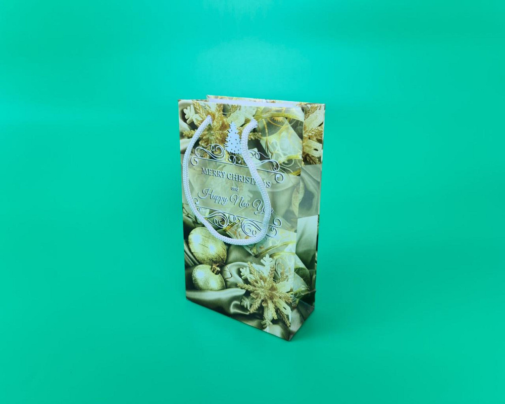 Пакеты новогодние ,бумажные ,подарочные , Малый 11/18/5  - -019 (12 шт) Харьков - изображение 1