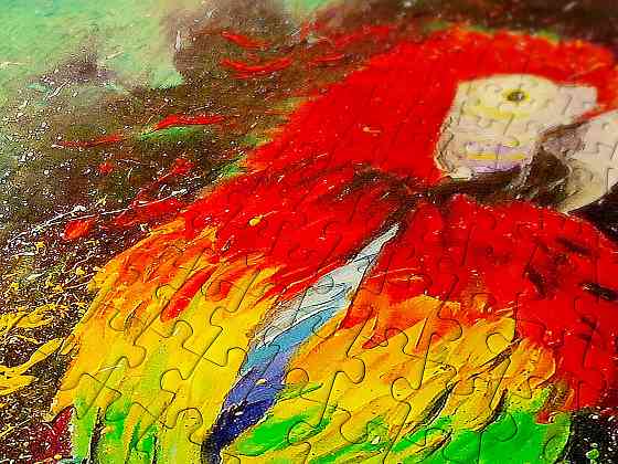 Пазл Різнобарвний папуга - Colorful Parrot (Enjoy-1787) Киев