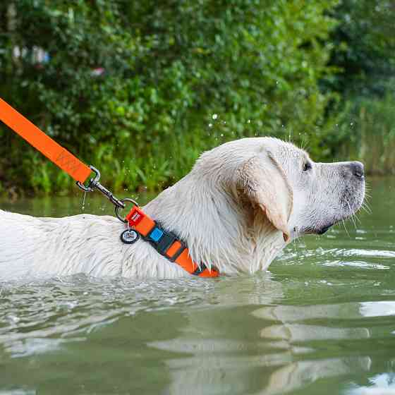 Ошейник для собак водостойкий WAUDOG Waterproof c QR паспортом, пластикова пряжка-фастекс, Ш 25 мм, Дов 38-58 см, помаранчевий Київ