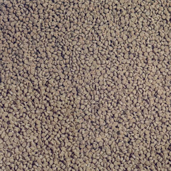 Корм для акваріумних риб Sera Granured гранули для хижих цихлід 250 мл Київ